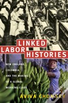 Linked Labor Histories