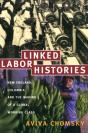 Linked Labor Histories - Preview