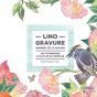 Linogravure Inspirée De La Nature ; Les Techniques Et Plus De 80 Modèles - Preview