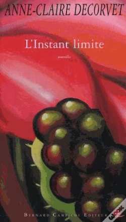 Capa do artigo L'Instant Limite