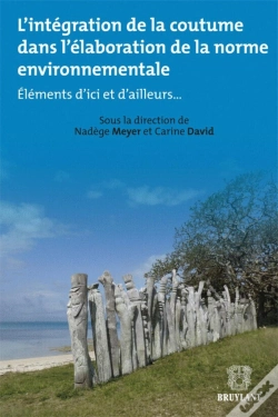 Capa do artigo L'Intégration De La Coutume Dans L'Élaboration De La Norme Envineronnementale : Éléments D'Ici Et D'Ailleurs...