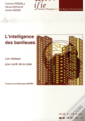 L'Intelligence Des Banlieues ; Les Réseaux Pour Sortir De La Crise