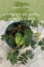 L'Intelligence Des Plantes : Mythe Ou Réalité ? - Preview