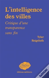 L'Intelligence Des Villes : Critique D'Une Transparence Sans Fin