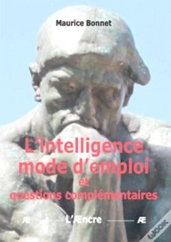 Capa do artigo L'Intelligence Mode D'Emploi Et Questions Complémentaires