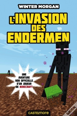 Capa do artigo L'Invasion Des Endermen