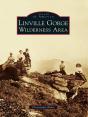 Linville Gorge Wilderness Area - Preview