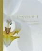 L'Invisible - Preview