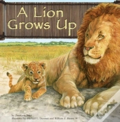 Capa do artigo Lion Grows Up
