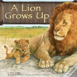 Capa do artigo Lion Grows Up