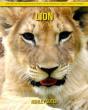 Lion - Preview