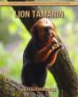 Lion Tamarin - Preview