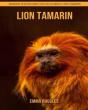 Lion Tamarin - Preview