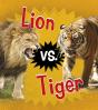 Lion Vs. Tiger - Preview