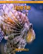 Lionfish - Preview