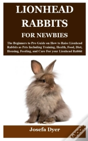 Capa do artigo Lionhead Rabbits For Newbies