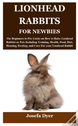 Capa do artigo Lionhead Rabbits For Newbies