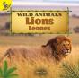 Lions - Preview