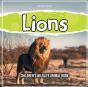 Lions - Preview