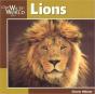 Lions - Preview