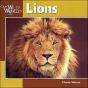 Lions - Preview