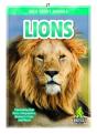 Lions - Preview