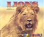 Lions - Preview