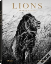 Lions