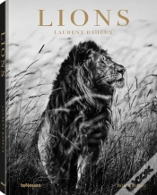Capa do artigo Lions