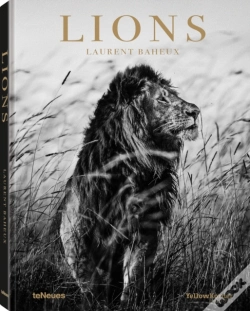 Capa do artigo Lions