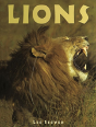 Lions - Preview