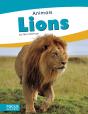 Lions - Preview