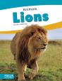 Lions - Preview