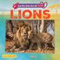 Lions - Preview