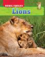 Lions - Preview