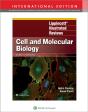 Lippincott Illustrated Reviews: Cell And Molecular Biology - Preview