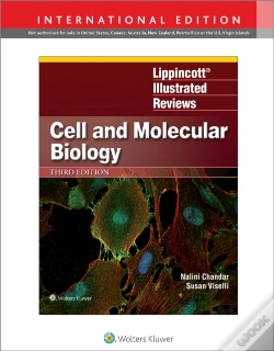 Capa do artigo Lippincott Illustrated Reviews: Cell And Molecular Biology
