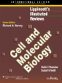 Lippincott Illustrated Reviews: Cell And Molecular Biology - Preview