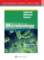 Lippincott(R) Illustrated Reviews: Microbiology - Preview