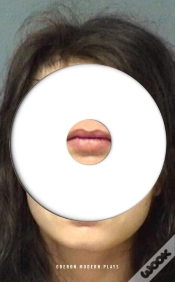 Capa do artigo Lippy