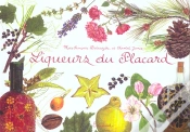 Capa do artigo Liqueurs Du Placard
