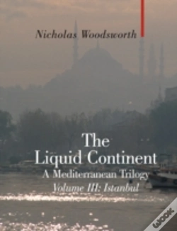 Capa do artigo Liquid Continentistanbul
