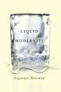 Liquid Modernity - Preview