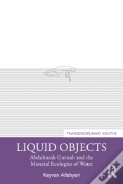 Capa do artigo Liquid Objects