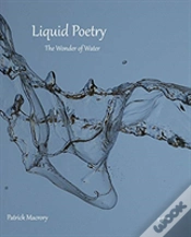 Capa do artigo Liquid Poetry