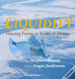Capa do artigo Liquidity