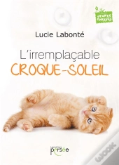 L'Irremplacable Croque-Soleil