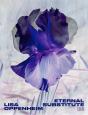 Lisa Oppenheim: The Eternal Substitute - Preview