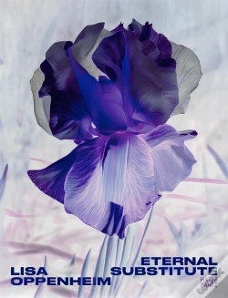 Capa do artigo Lisa Oppenheim: The Eternal Substitute
