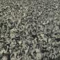 Listen Without Prejudice - CD - Preview